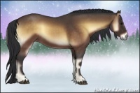 Horse Color:Brown Roan Onyx Sabino 