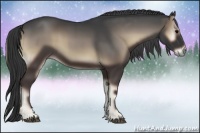 Horse Color:Blue Onyx Sabino 