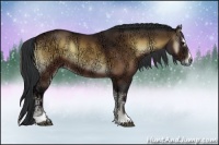 Horse Color:Brown Ice Onyx Sabino 