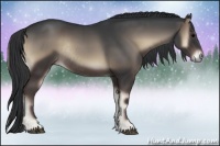 Horse Color:Blue Onyx Sabino Rabicano 