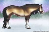 Horse Color:Brown Onyx Sabino