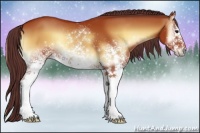Horse Color:White Spotted Chocolate Brown Onyx 
