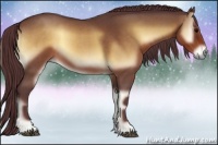 Horse Color:Chocolate Brown Roan Onyx