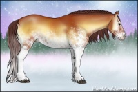 Horse Color:White Spotted Chocolate Brown Onyx Sabino 
