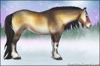 Horse Color:Buckskin Onyx Rabicano 