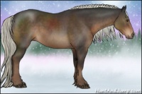 Horse Color:Liver Chestnut Rabicano 