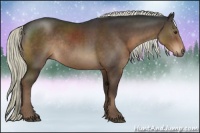 Horse Color:Liver Chestnut Rabicano 