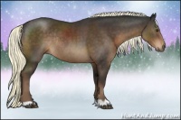 Horse Color:Liver Chestnut Rabicano 