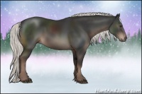 Horse Color:Liver Chestnut Rabicano 