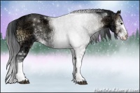 Horse Color:Brown Ice Onyx Sabino Rabicano