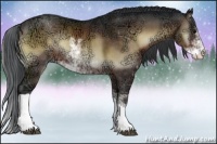 Horse Color:Brown Ice Onyx Sabino Rabicano 