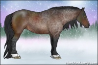 Horse Color:Brown Rabicano