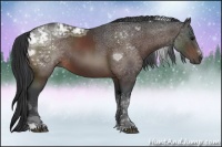 Horse Color:Brown Ice Sabino Rabicano 