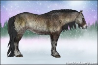 Horse Color:Brown Ice Onyx Sabino Rabicano 