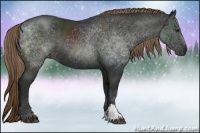 Horse Color:Liver Chestnut Rabicano 