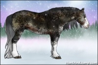 Horse Color:Brown Ice Onyx Sabino Rabicano