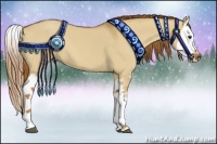 Horse Color:Red Dun Splash 