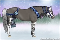 Horse Color:Grullo Splash