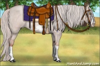 Horse Color:Silver Classic Champagne Roan Dun Splash Frame Rabicano