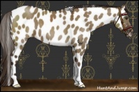 Horse Color:Liver Red Dun Leopard 