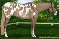 Horse Color:Liver Red Dun Sabino Blanket 