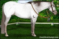 Horse Color:Liver Chestnut Snowcap