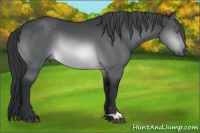 Horse Color:Brown Chinchilla Rabicano 