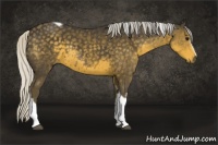 Horse Color:White Spotted Silver Smoky Black Tobiano 