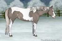 Horse Color:White Spotted Silver Black Splash Tobiano 