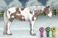Horse Color:White Spotted Silver Black Splash Tobiano 