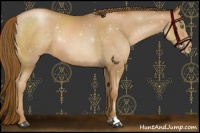 Horse Color:Liver Chestnut Pearl 