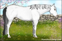 Horse Color:White Spotted Bay Rabicano 