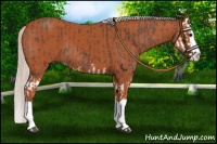 Horse Color:Silver Black Splash and Silver Bay Splash