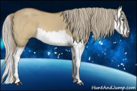 Horse Color:Gray Palomino Dun Splash 