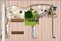 Horse Color:White Spotted Chocolate Palomino Pearl 