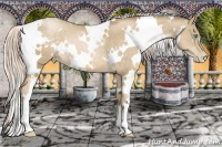 Horse Color:White Spotted Chocolate Palomino Pearl 