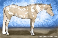 Horse Color:White Spotted Chocolate Palomino Pearl Sabino