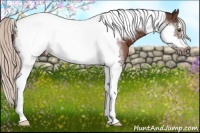 Horse Color:Silver Brown Sabino Tobiano Frame 