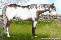 Horse Color:Silver Brown Frame 