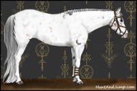 Horse Color:Bay Sabino Near Leopard 