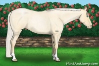 Horse Color:Silver Buckskin Roan Pearl 