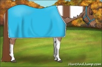 Horse Color:Red Roan Tobiano 