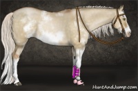 Horse Color:Silver Brown Pearl Dun Sabino Splash Frame Rabicano 