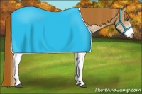 Horse Color:White Spotted Chestnut 