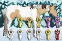 Horse Color:Amber Champagne Tobiano 