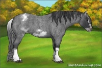 Horse Color:White Spotted Blue Roan Splash Frame Blanket
