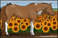 Horse Color:Chestnut Tobiano