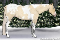 Horse Color:Gray Silver Amber Cream Champagne Roan Dun Splash Tobiano Frame Appaloosa Rabicano 