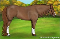Horse Color:Red Roan 