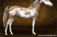 Horse Color:Chestnut Splash Frame  and Palomino Splash Frame 